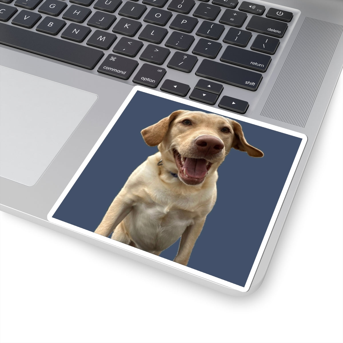 Happy Labrador Kiss-Cut Sticker — Smiling Dog Laptop Decal