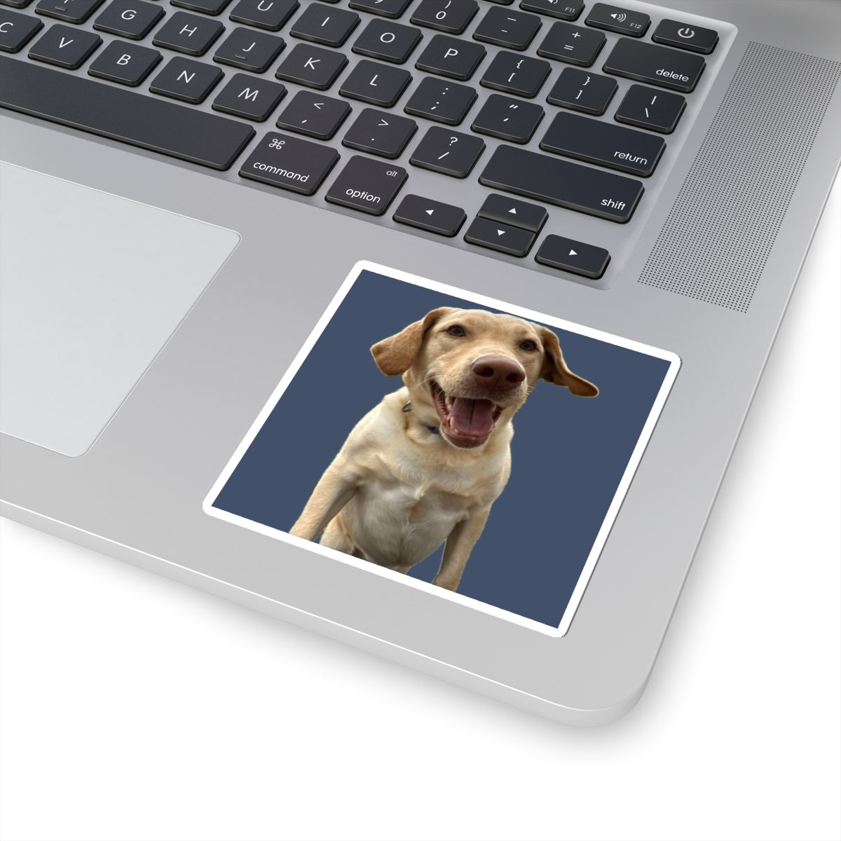 Happy Labrador Kiss-Cut Sticker — Smiling Dog Laptop Decal
