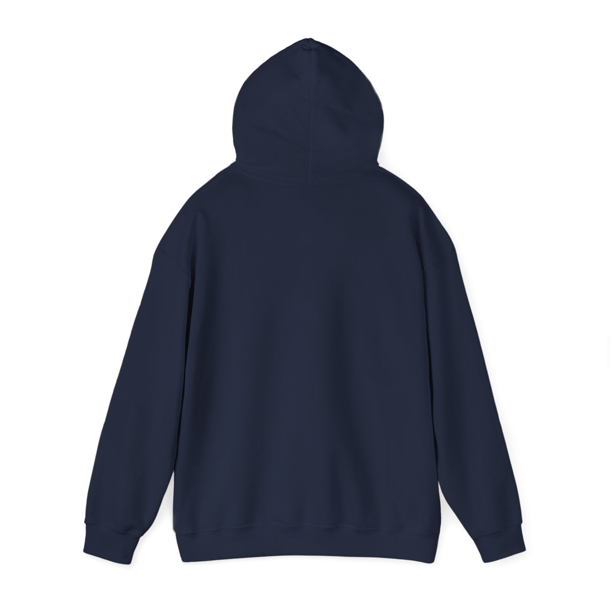 Stained Glass Dragonfly Hoodie — Delicate Blue Mosaic Insect Sweatshirt