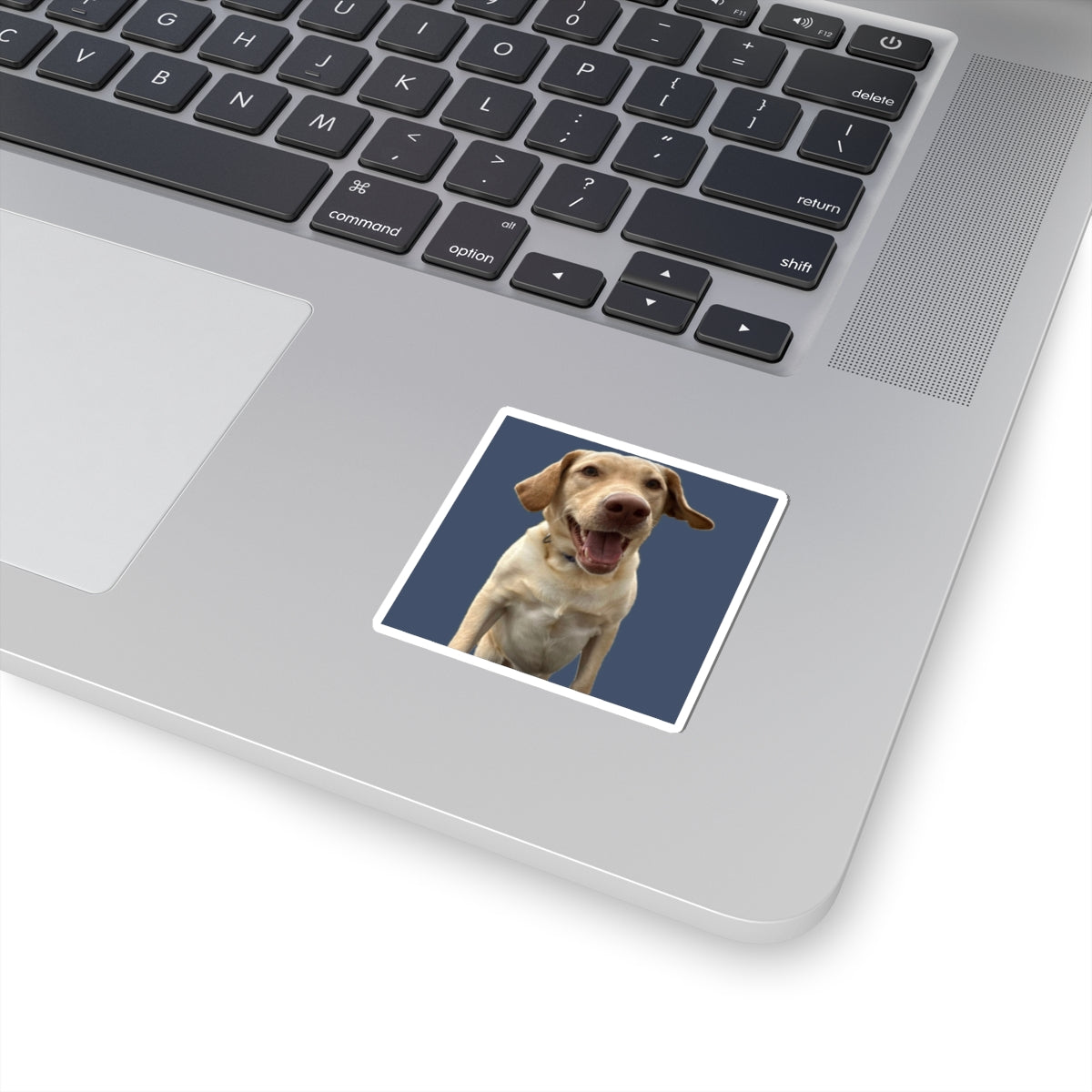 Happy Labrador Kiss-Cut Sticker — Smiling Dog Laptop Decal